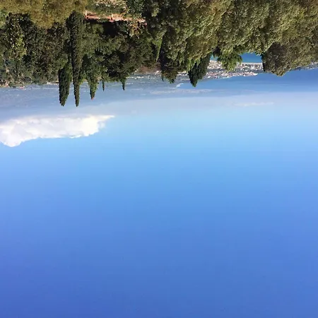 リス